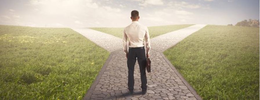 A man in formal attire stands at a crossroads, holding a briefcase, contemplating his decision between two paths in a grassy landscape.